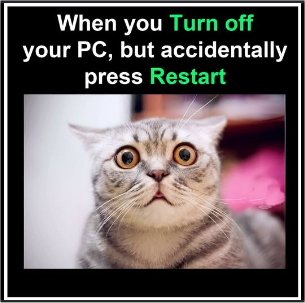 off caturday majorgeeks.jpg